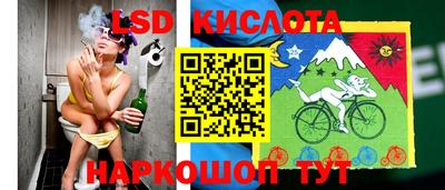 прущие грибы Тула