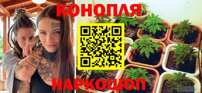 прущие грибы Тула