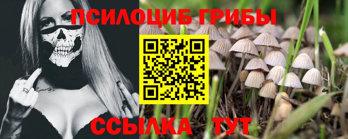даркнет сайт  Вход с VPN  Жуковский  Галлюциногенные грибы GOLDEN TEACHER 